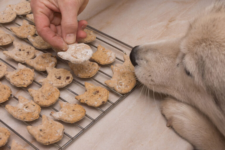 Rezept für Hunde Kekse von Janine Kunze &quot;Leberwurst Parmesan Kekse